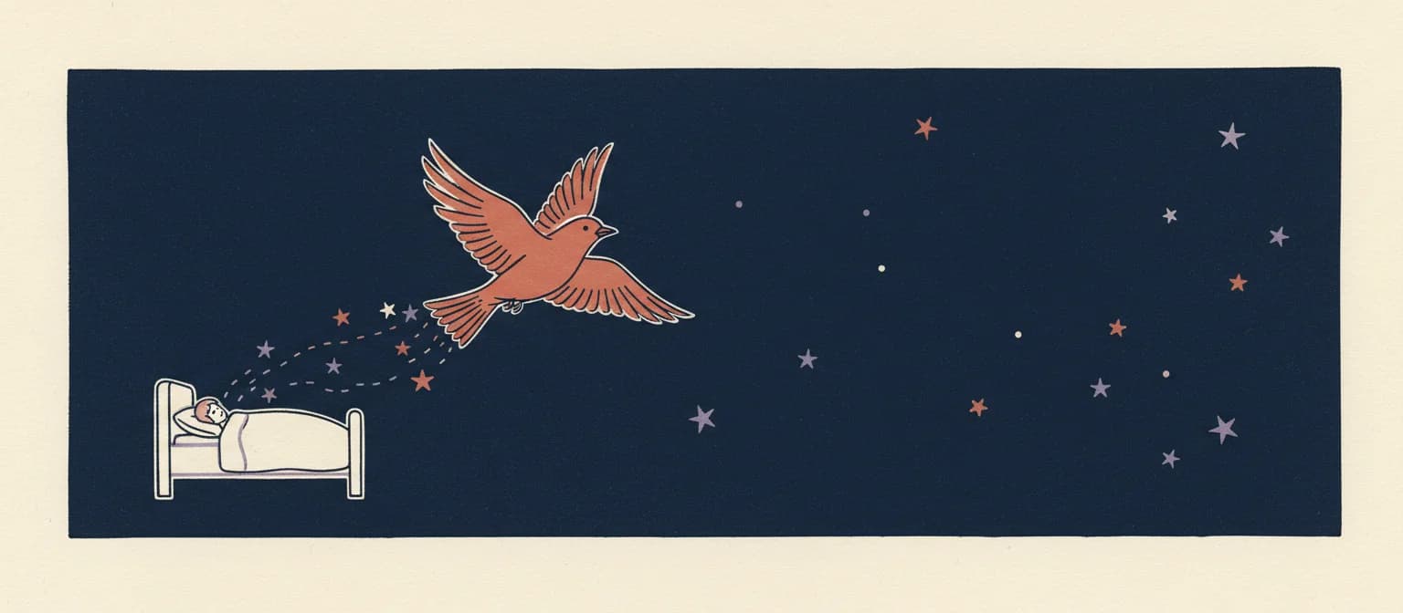 A sleeper in a small bed on a navy night sky as a terracotta bird flies off, its trail breaking into dashes and stars