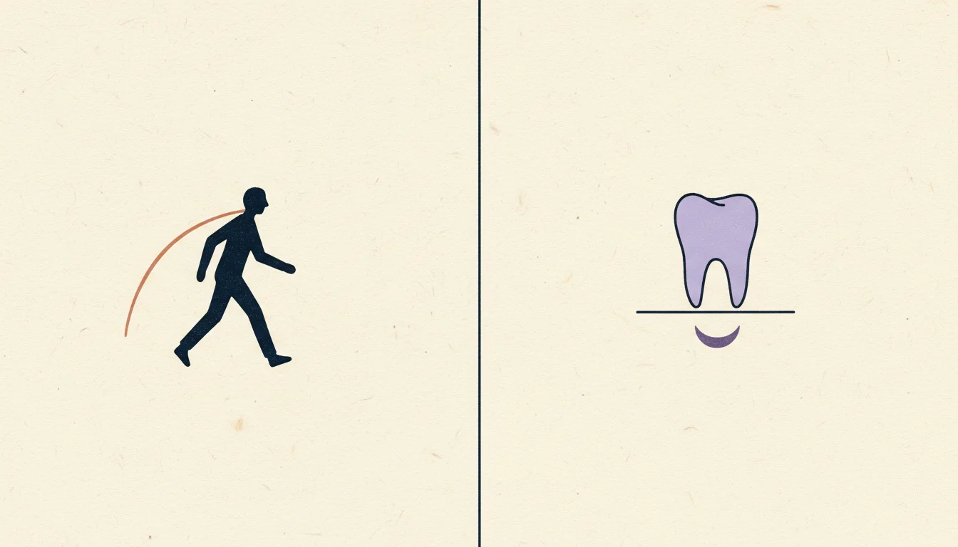 Two panels: a walking figure trailed by a thin terracotta arc, and a single lilac tooth resting on a line